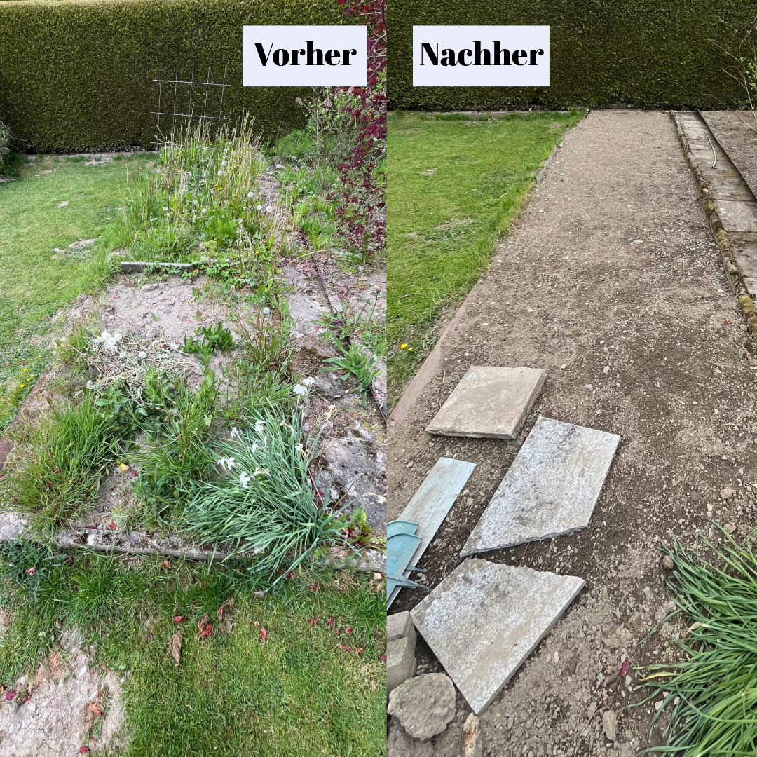 Dschungel-Beet herbstfit gemacht