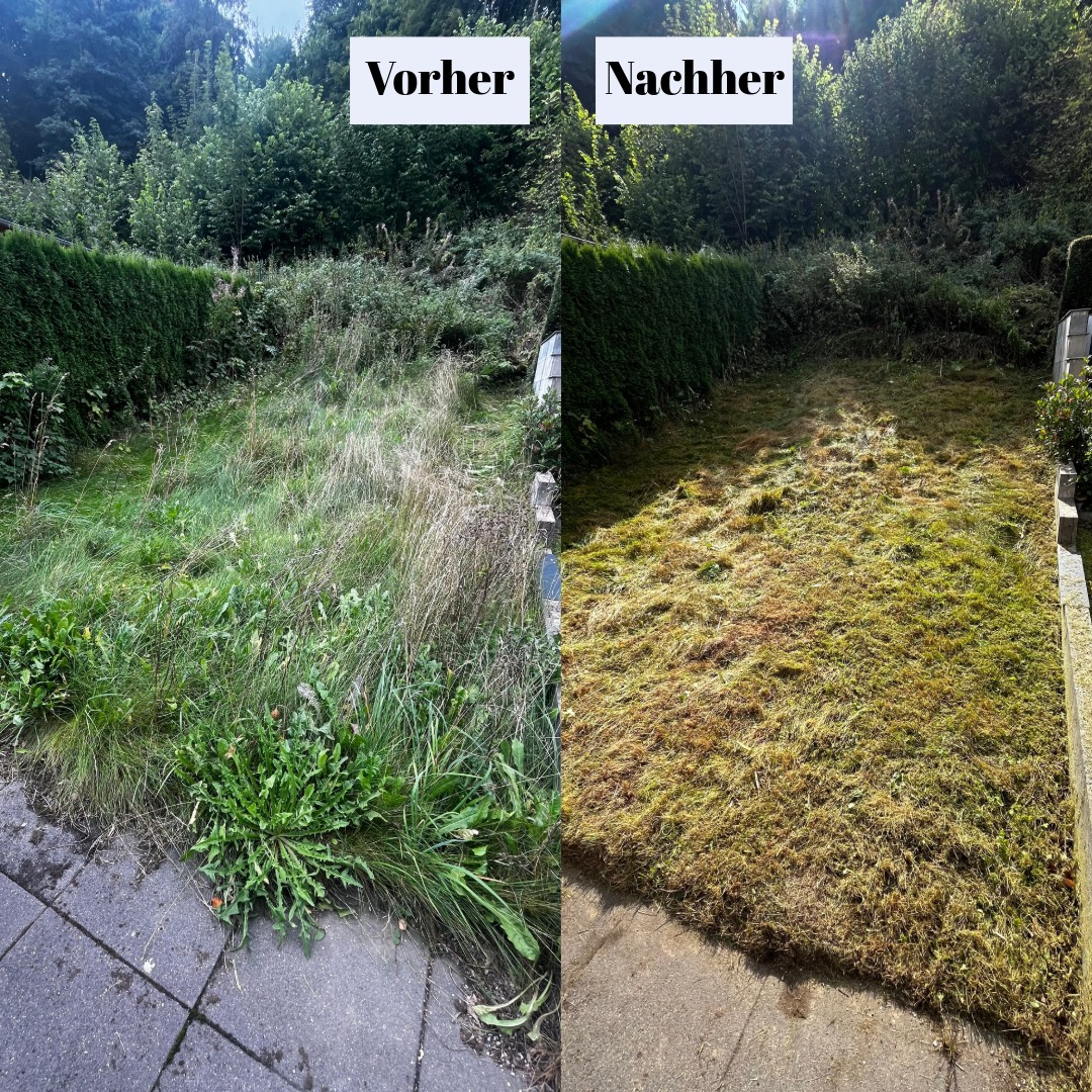 Wilder Garten wieder frei