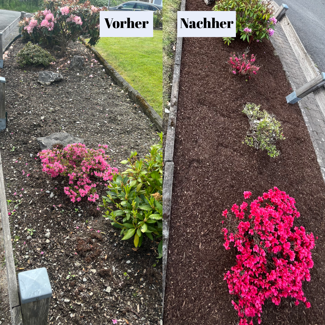 Straßenbeet in neuer Ordnung!