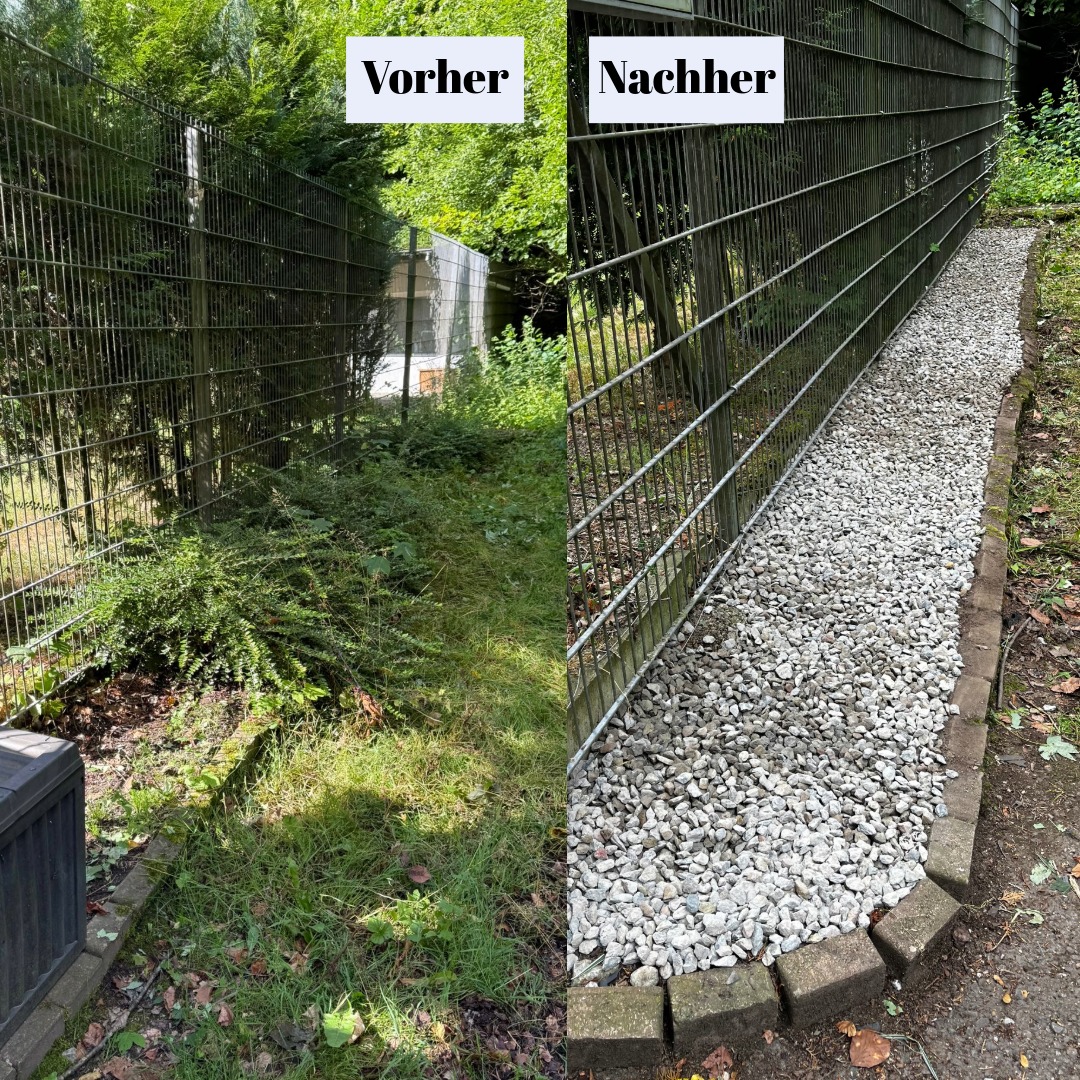 Tierheim Spendebox-Platzt bekommt Glow-up!