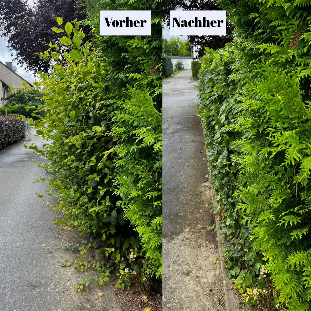 Hecke entschärft!