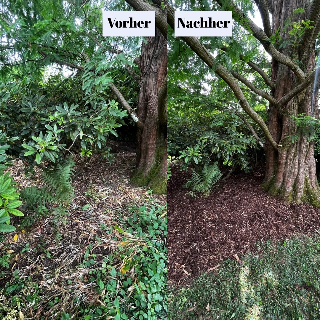 Baumfläche aufgefrischt