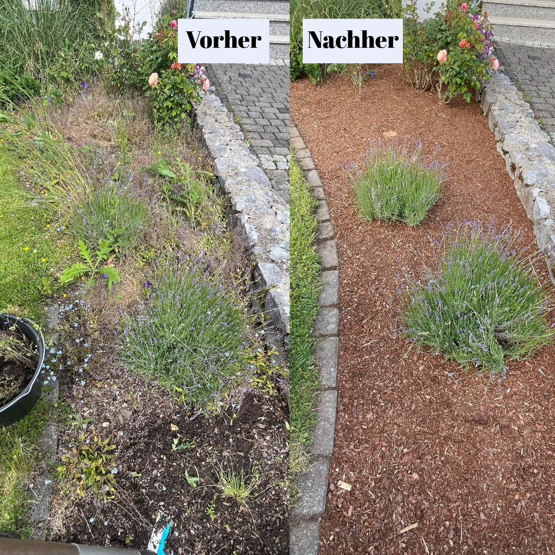 Vorgarten im Rindenmulch-Glanz