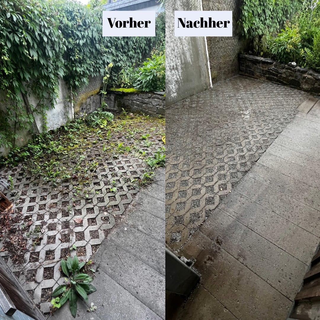 Mülltonnenplatz aufgefrischt!